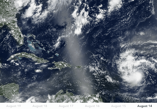 A gif showing the satellite images of Hurricane Erin progressing from the Atlantic towards the Caribbean islands. The storm becomes larger as it moves and then swoops northwards before making landfall. At the bottom of the image, there are dates extending from August 14 to August 19. 